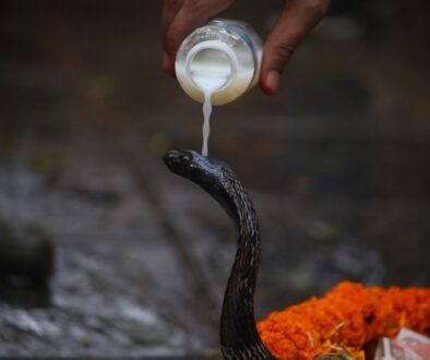 nagpanchami