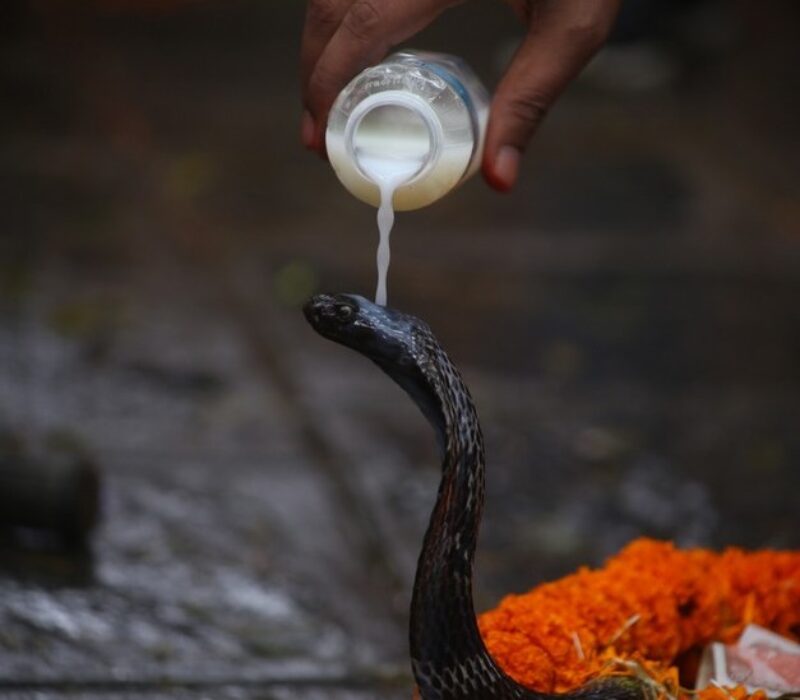 nagpanchami