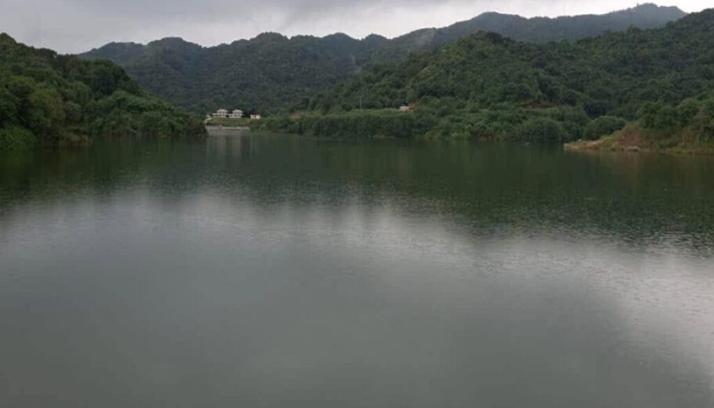 dhap-dam