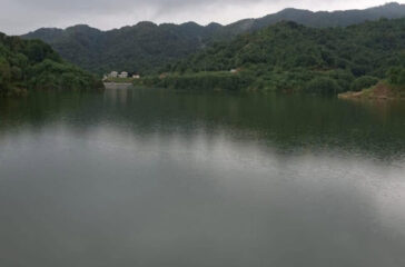 dhap-dam