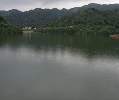 dhap-dam