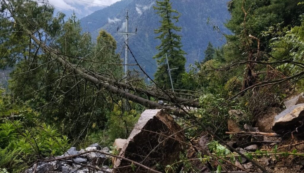 electricity line damage