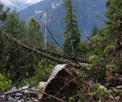 electricity line damage