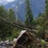 electricity line damage