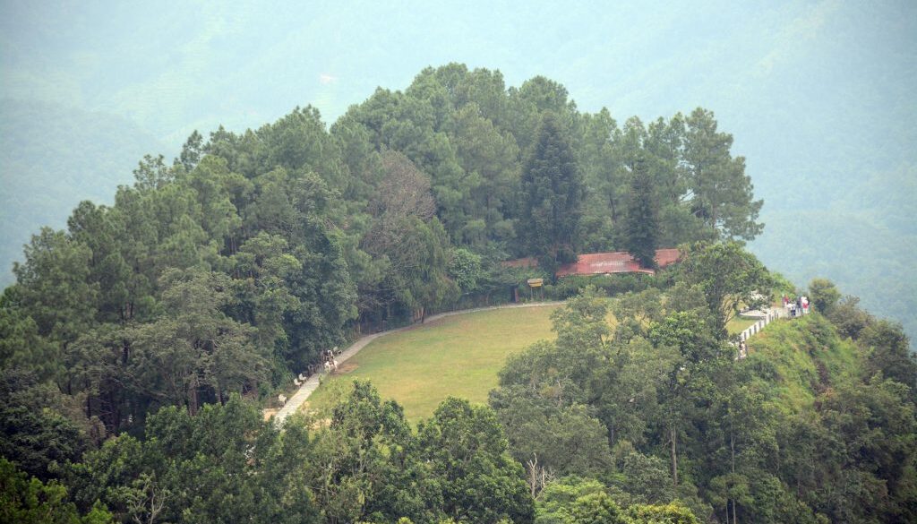 forest-tanhu