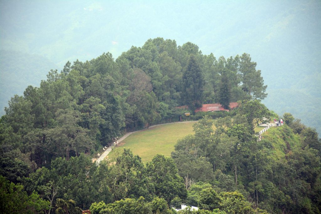 forest-tanhu