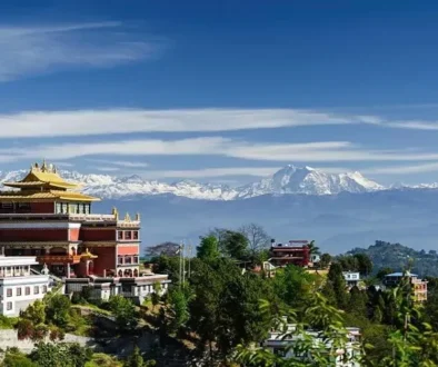 panauti
