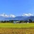 pokhara-cricket-maidan