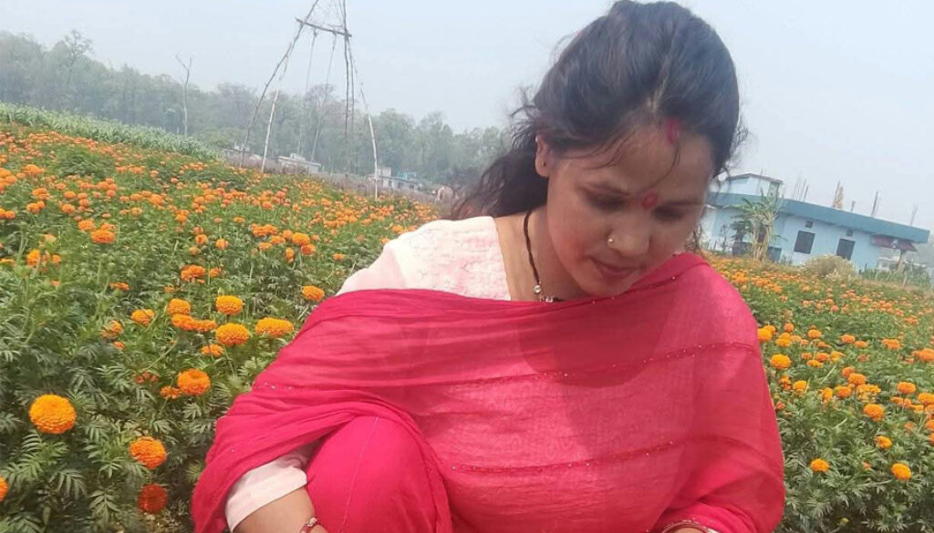 sushila-bista flower farm