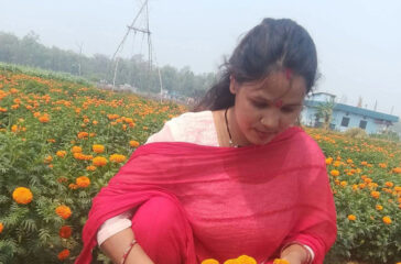 sushila-bista flower farm