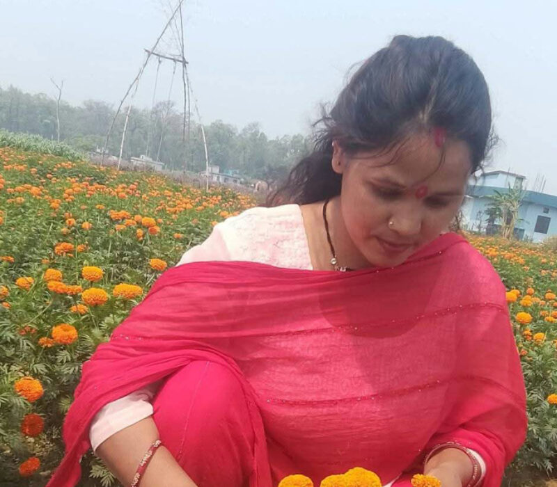 sushila-bista flower farm