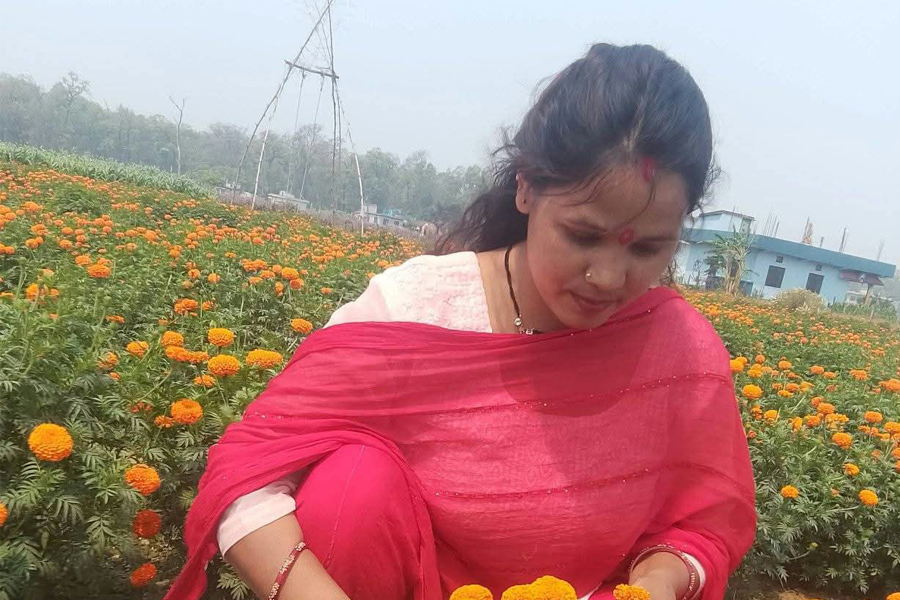 sushila-bista flower farm