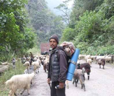 Himali-Bheda-Changra