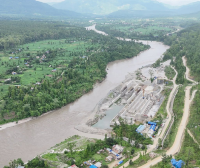 bheri-babai