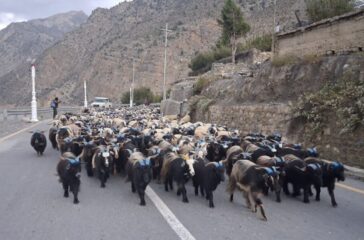 chyangra